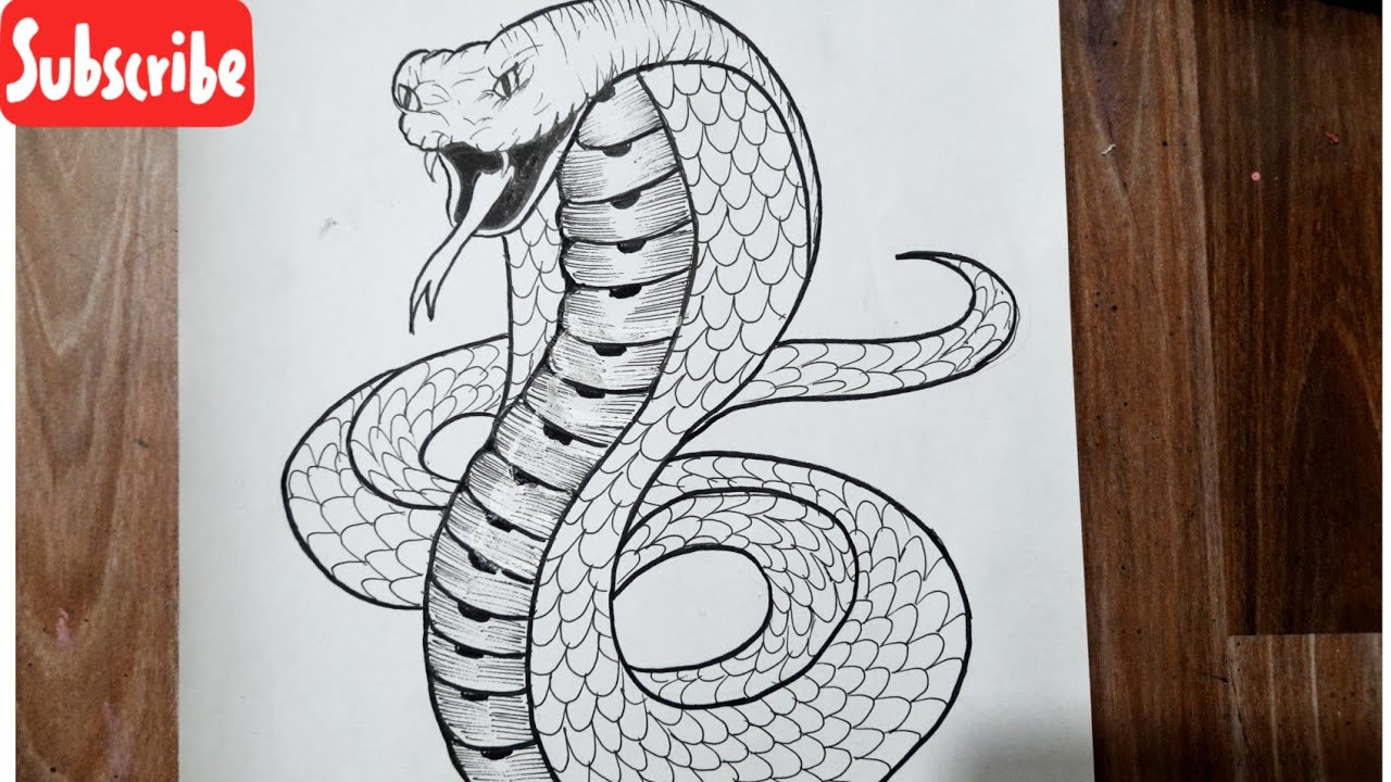 Cobra snake for doodle art Royalty Free Vector Image